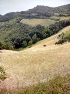 Il campo appena sotto la casa di Nonna Bruna