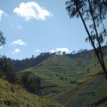 Da febbraio 2012 sono in calendario i viaggi in Rwanda