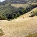 Il campo appena sotto la casa di Nonna Bruna